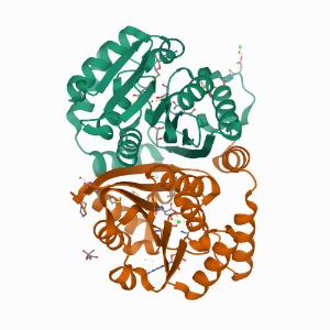 Rv0187 from M. tuberculosis in ligand-bound and ligand-free states 이미지
