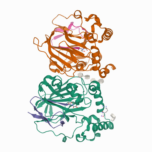 PSD from E. coli in apo and substrate conjugated forms 이미지